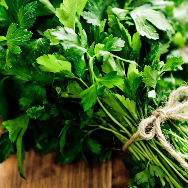 Searles How to grow parsley planting and care guide